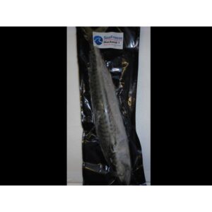 Online Baits Mackerel - Large