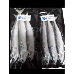 Online Baits Mackerel - Joeys