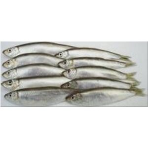 Online Baits Sprats - Natural